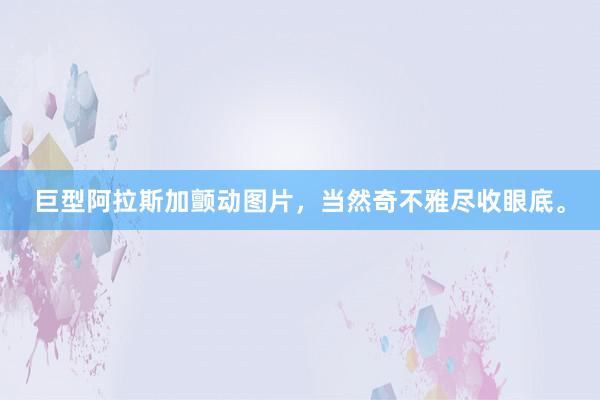 巨型阿拉斯加颤动图片，当然奇不雅尽收眼底。